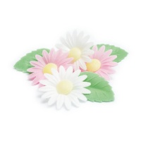 Gaufrettes de fleurs de marguerite avec feuilles - Scrapcooking - 6 pcs.