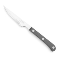 Steak Basic 11,5 cm lame noire nacrée en polyoxyméthylène couteau à steak - Arcos