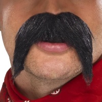 Grande et épaisse moustache noire