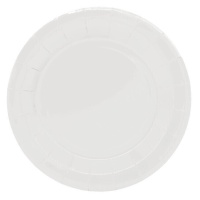 Assiettes rondes en carton blanc de 23 cm - 10 pièces.