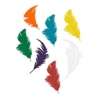 Plumes naturelles colorées de 7,5 cm - 14 g