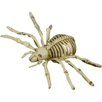 Araignée squelette de 24 cm