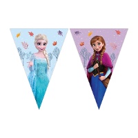 Fanion Frozen bleu avec Elsa et Anna