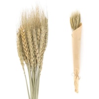 bouquet de blé décoratif, 60 cm, couleur naturelle