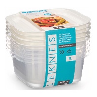 Tupper de 1 L carré avec couvercle - 5 unités