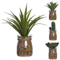 Plante cactus artificielle avec pot en verre assorti 5 x 16 cm