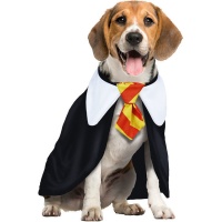Costume d'étudiant en magie pour chien