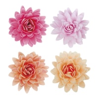 Galettes de fleurs de lotus 4 couleurs 5,5 cm - Dekora - 18 pcs.