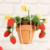 Kit d'Amigurumis - Fraise - DMC