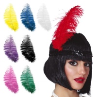 Plumes de charleston 30 cm - 12 pcs.