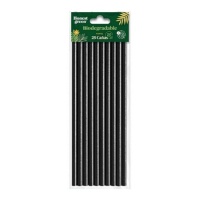 Pailles en papier noir biodégradable de 20 cm - Honest Green - 25 pcs.