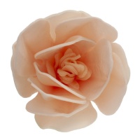 Gaufrettes de fleurs de magnolia rose clair 6,5 cm - Dekora - 6 unités