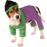 Costume de Hulk pour animaux de compagnie