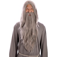 Perruque et barbe de magicien gris