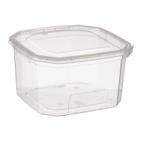 Tupper rectangulaire en plastique de 750 ml avec couvercle et couvercle fermé