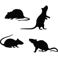 Décorations murales adhésives de 4 silhouettes de rats noirs