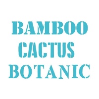 Pochoir mots Botanic, Cactus et Bambou 20 x 28,5 cm - Artis decor - 1 unité