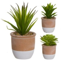 Plante artificielle avec pot bicolore assorti 8 x 18 cm