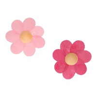 Galettes de violettes roses et fuchsia de 5,5 cm - FunCakes - 8 unités