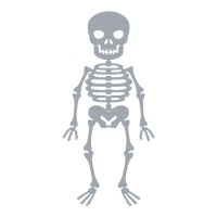 ZAG Squelette d'Halloween finement découpé