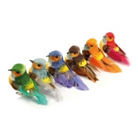 Set de petits oiseaux décorés avec pince - 6 pcs.