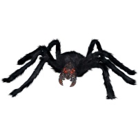 1 m d'araignée noire