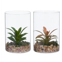 Cactus artificiel avec grand pot en verre assorti 10 x 15 cm