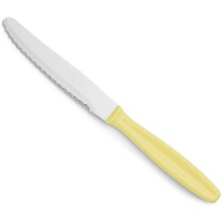 Couteau à dessert lame 10,5 cm Table Basic - Arcos