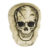 Plateau en forme de crâne et de corneille 25 x 18 cm