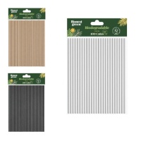 Pailles en papier biodégradable de 20 cm - Honest Green - 100 pcs.