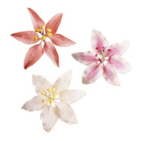 Décorations pour gâteaux assorties de fleurs lilas 8 cm - Dekora - 20 unités