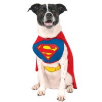 Costume de Superman pour animaux de compagnie