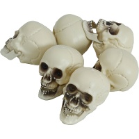 Crâne de 6 cm - 6 unités