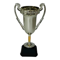 Trofeo de campeón de 20 cm