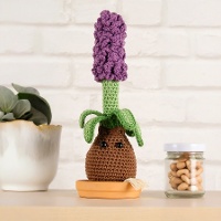 Kit d'Amigurumis - Jacinto - DMC