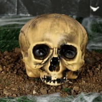 Crâne décoratif en plastique 15 cm