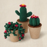Kit de crochet avec boîte cadeau - collection Cactus - DMC