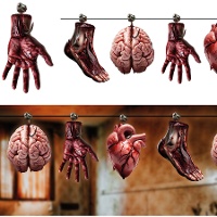 Guirlande d'organes humains de 3,00 m