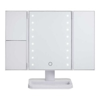 Miroir grossissant LED pliable 29 x 17 cm