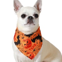 Foulard de Halloween à motifs de citrouilles pour animaux de compagnie