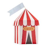 Boîtes de cirque personnalisables 23 x 10 cm - lot de 4