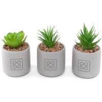 Plante cactus artificielle avec pot assorti Panot 7 x 7,5 cm