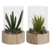 Cactus artificiel avec jardinière en verre et base en bois assortie 14 x 20 cm