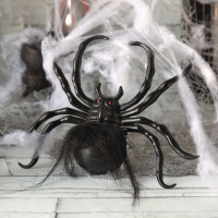 Toile d'araignée blanche avec une grande araignée de 10 gr.