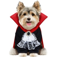 Costume de chien vampire