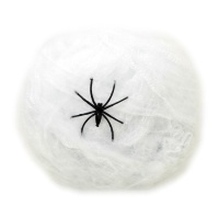 Toile d'araignée blanche avec 20 araignées gr