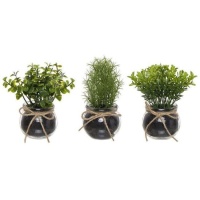 Plante artificielle avec pot en verre rond avec ruban assorti 10 x 13 cm