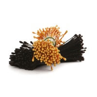 Fines étamines de fleurs nacrées jaunes et noires - Decora - 288 pcs.