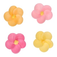 Obleas en forme de fleurs de primevères colorées de 3,5 cm - FunCakes - 12 unités