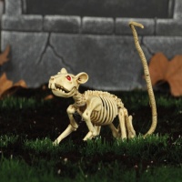 Squelette de rat de 20 cm